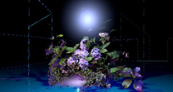 Screen capture of installation of work by Sabrina Ratté from Echoes from the Future online at MacKenzie.Art, 2023. 